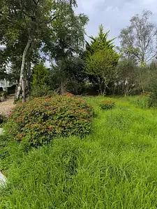 Maison neuve, 77 m²