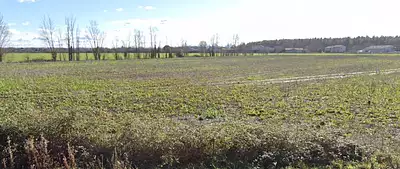 Terrain à bâtir, 3 700 m²