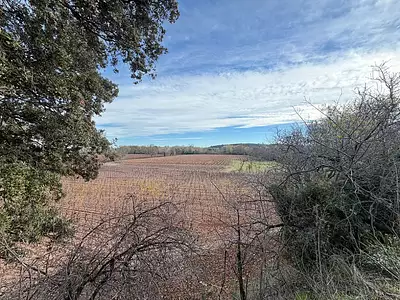 Maison neuve, 101 m²