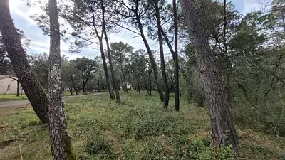 Maison neuve, 93 m²