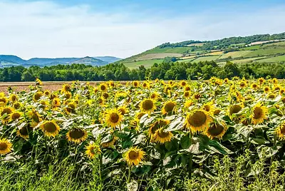 Maison neuve, 105 m²
