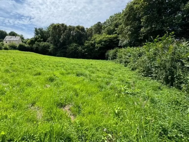 Terrain à bâtir, 584 m² - Helléan (56120)