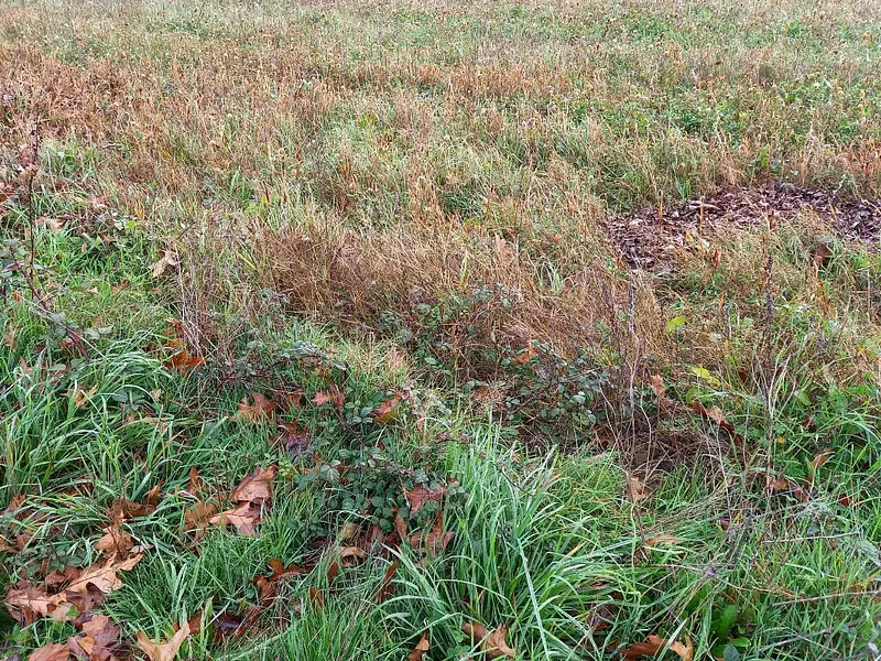 Terrain à bâtir, 1 000 m² - Landeronde (85150)