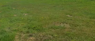 Terrain à bâtir, 1 221 m²