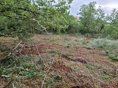 Terrain à bâtir, 1 500 m²
