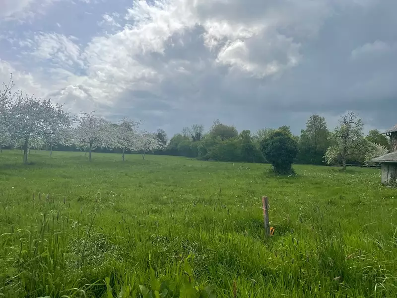 Maison neuve, 143 m² - Saint-Hymer (14130)