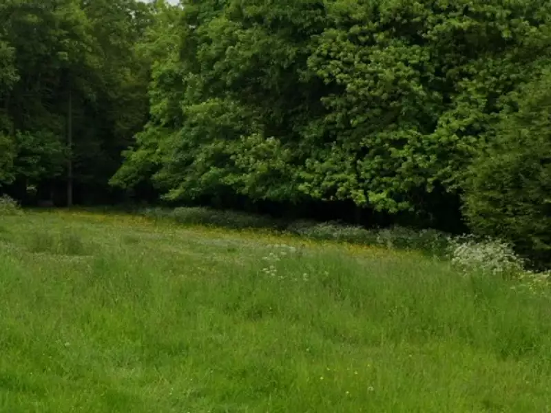 Terrain à bâtir, 1 373 m² - Ellecourt (76390)