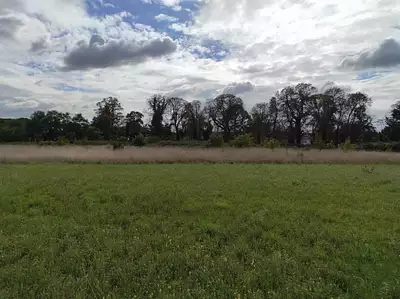 Terrain à bâtir, 634 m²