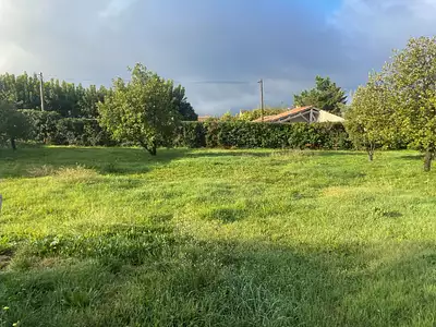 Maison neuve, 80 m²