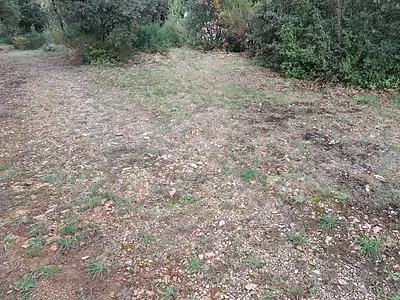 Maison neuve, 100 m²