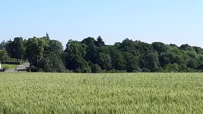 Maison neuve, 80 m²