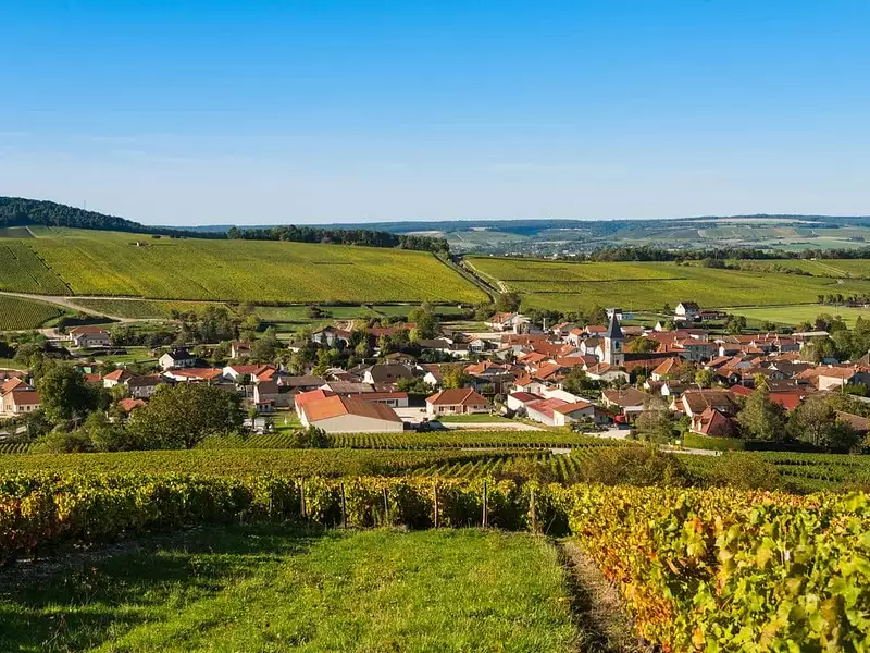 Terrain à bâtir, 446 m² - Mouilleron-le-Captif (85000)