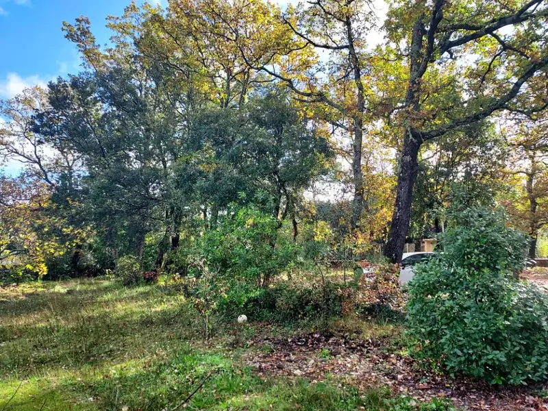 Terrain à bâtir, 1 000 m² - Garéoult (83136)