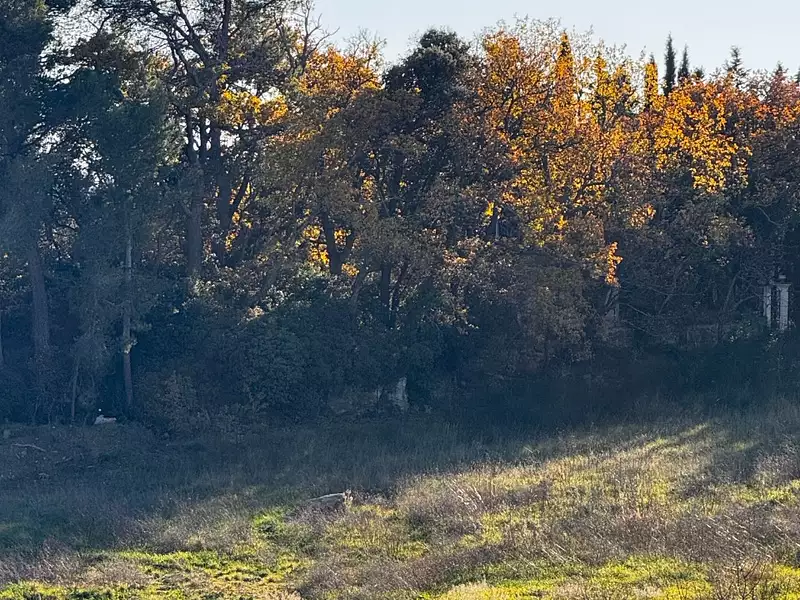 Maison neuve, 110 m² - Aubagne (13400)