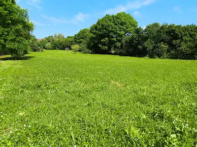 Terrain à bâtir, 880 m²