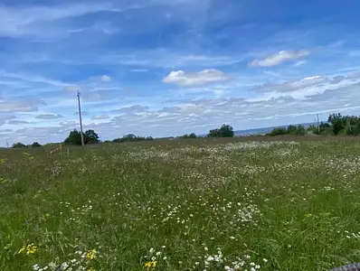Terrain à bâtir, 1 725 m²