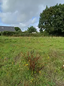 Terrain à bâtir, 310 m²