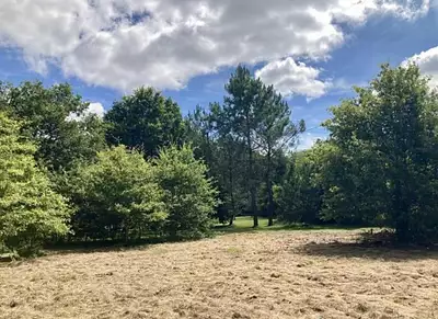 Terrain à bâtir, 501 m²