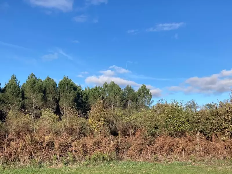 Terrain à bâtir, 860 m² - Balizac (33730)