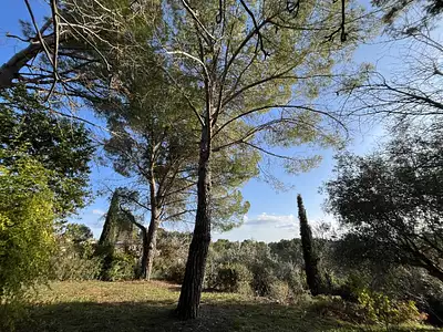 Terrain à bâtir, 1 799 m²