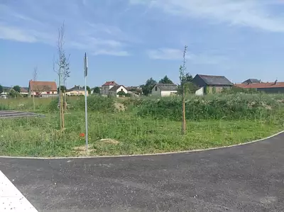 Maison neuve, 60 m²