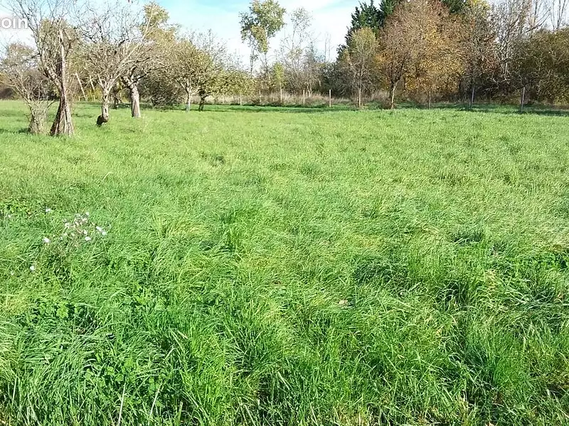 Terrain à bâtir, 1 400 m² - Le Controis-en-Sologne (41700)