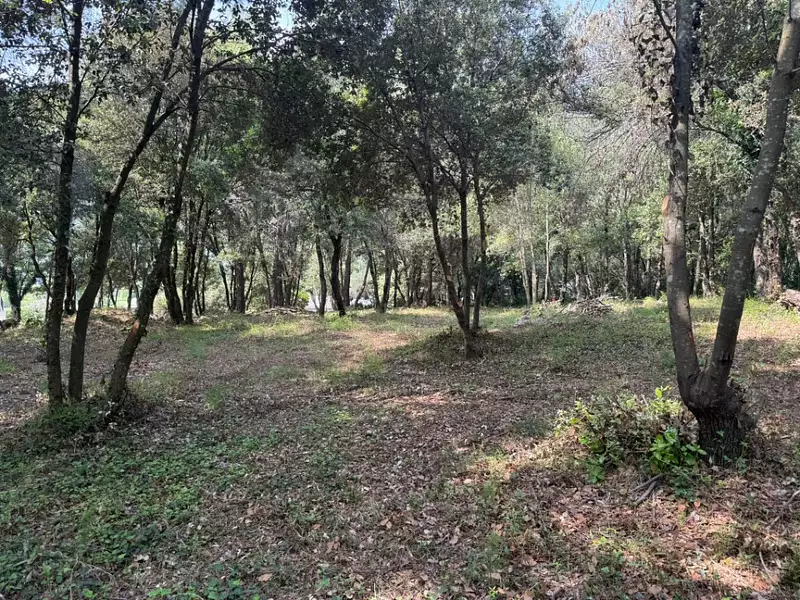 Terrain à bâtir, 1 317 m² - Biot (06410)