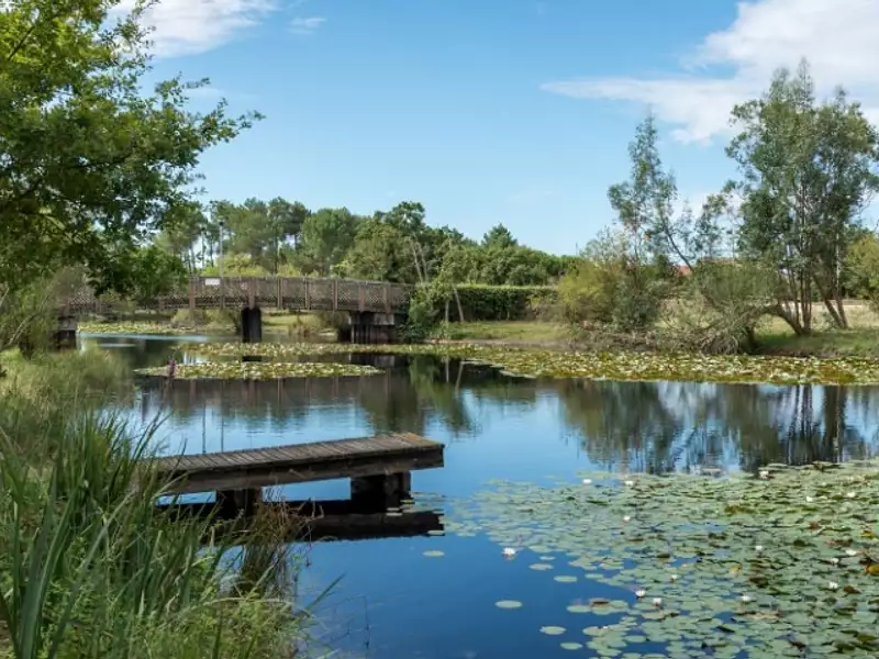 Terrain à bâtir, 737 m² - Hourtin (33990)