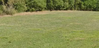 Terrain à bâtir, 950 m²