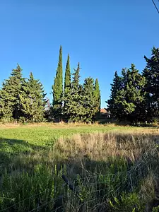 Terrain à bâtir, 311 m²