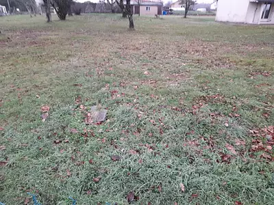 Maison neuve, 85 m²