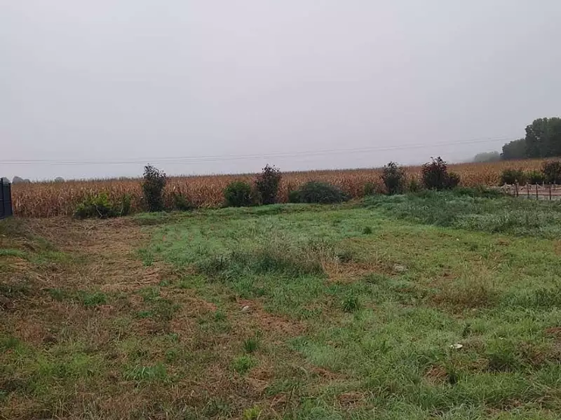 Terrain à bâtir, 323 m² - Weckolsheim (68600)