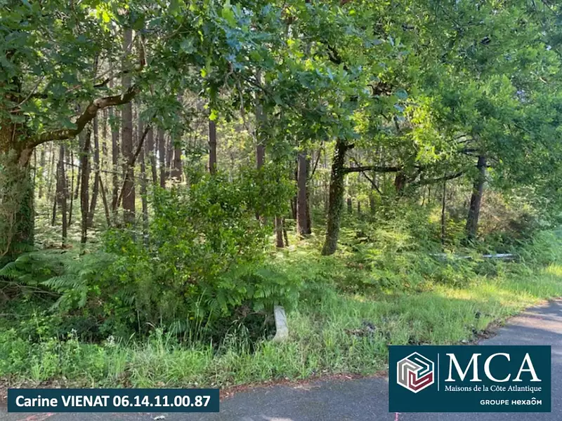 Terrain à bâtir, 229 000 m² - Sanguinet (40460)