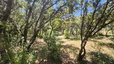 Maison neuve, 83 m²