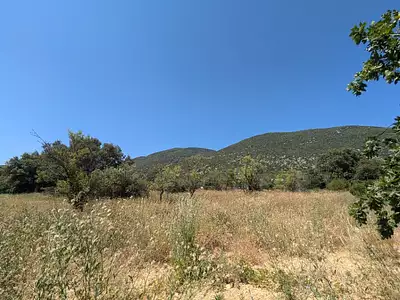 Terrain à bâtir, 1 290 m²