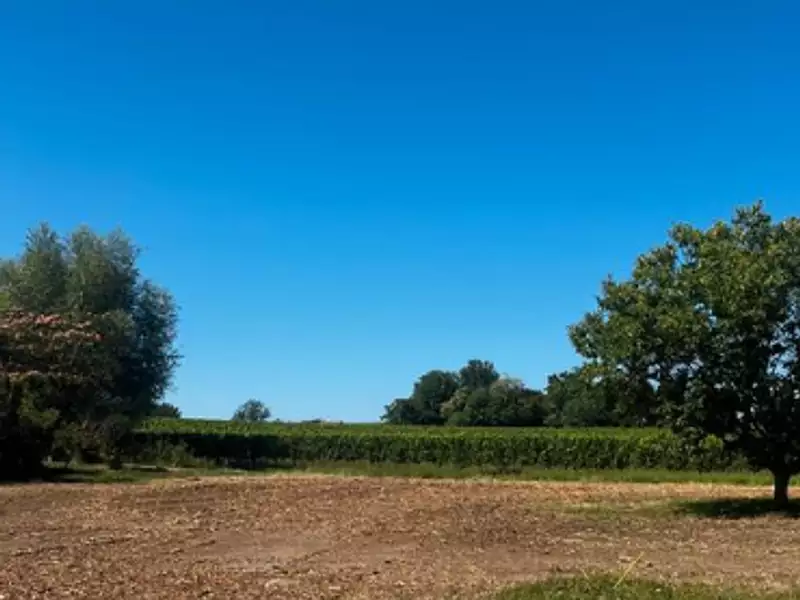 Terrain à bâtir, 512 m² - Saint-Germain-du-Puch (33750)