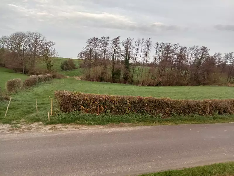 Terrain à bâtir, 1 400 m² - Tingry (62830)