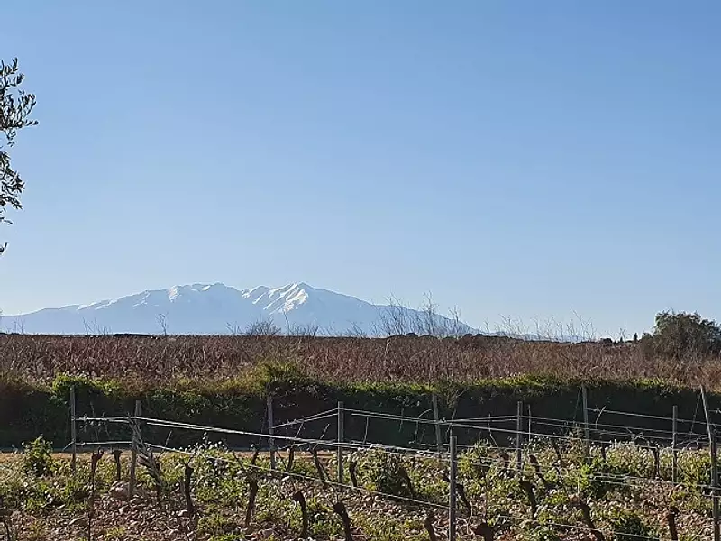 Terrain à bâtir, 1 745 m² - Cabestany (66330)