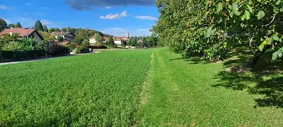 Terrain à bâtir, 448 m²