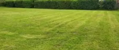 Terrain à bâtir, 800 m²