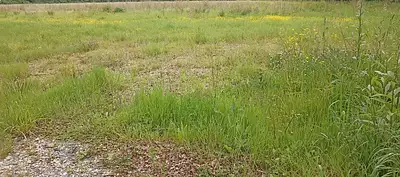 Maison neuve, 80 m²