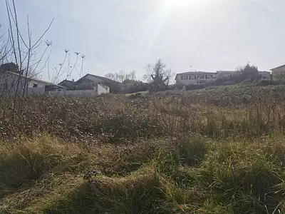 Terrain à bâtir, 732 m²