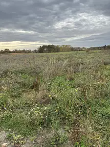 Maison neuve, 56 m²