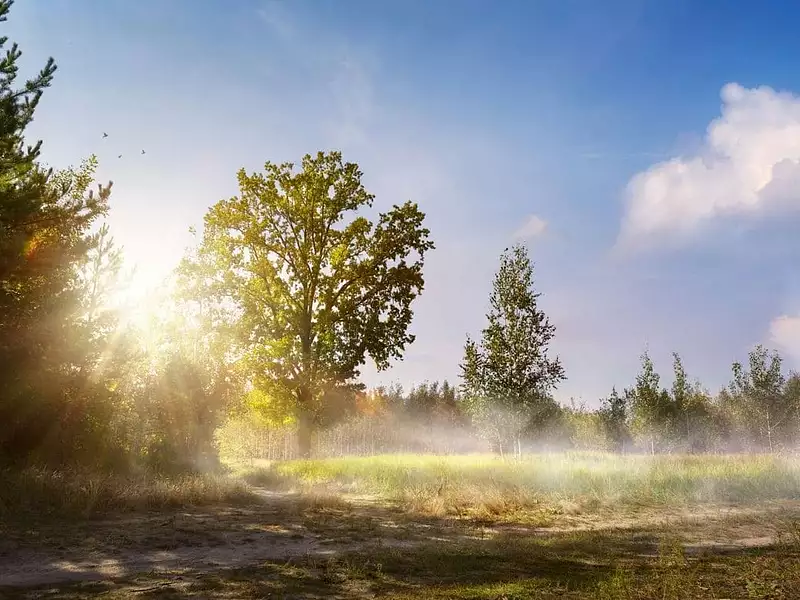 Terrain à bâtir, 490 m² - Le Poiré-sur-Vie (85170)