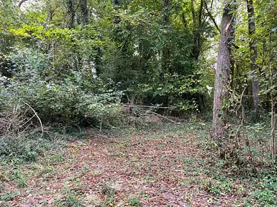 Terrain à bâtir, 1 432 m²