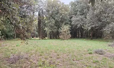 Terrain à bâtir, 1 430 m²