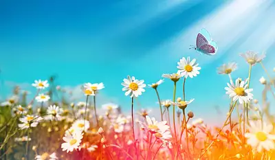 Terrain à bâtir, 700 m²