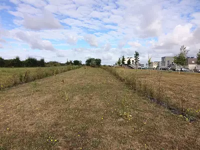 Maison neuve, 81 m²