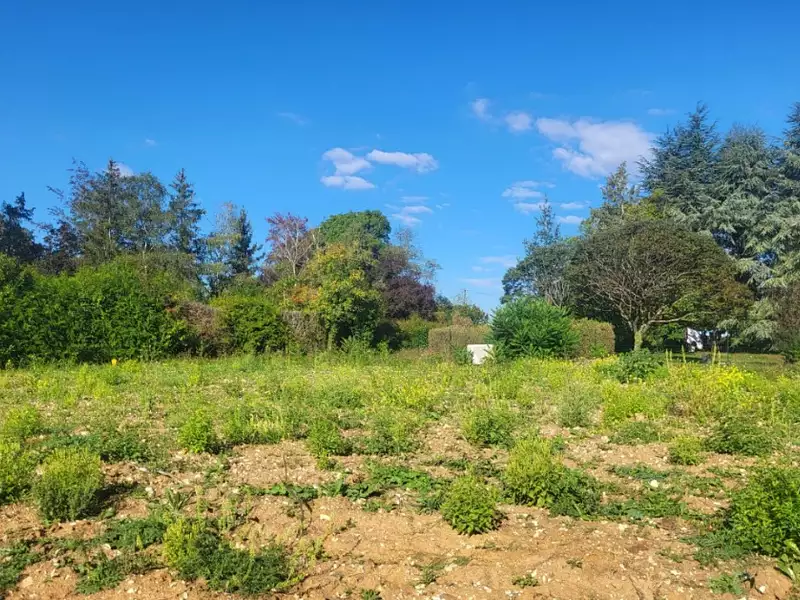 Terrain à bâtir, 635 m² - Auffargis (78610)