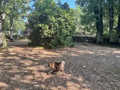 Terrain à bâtir, 1 095 m²